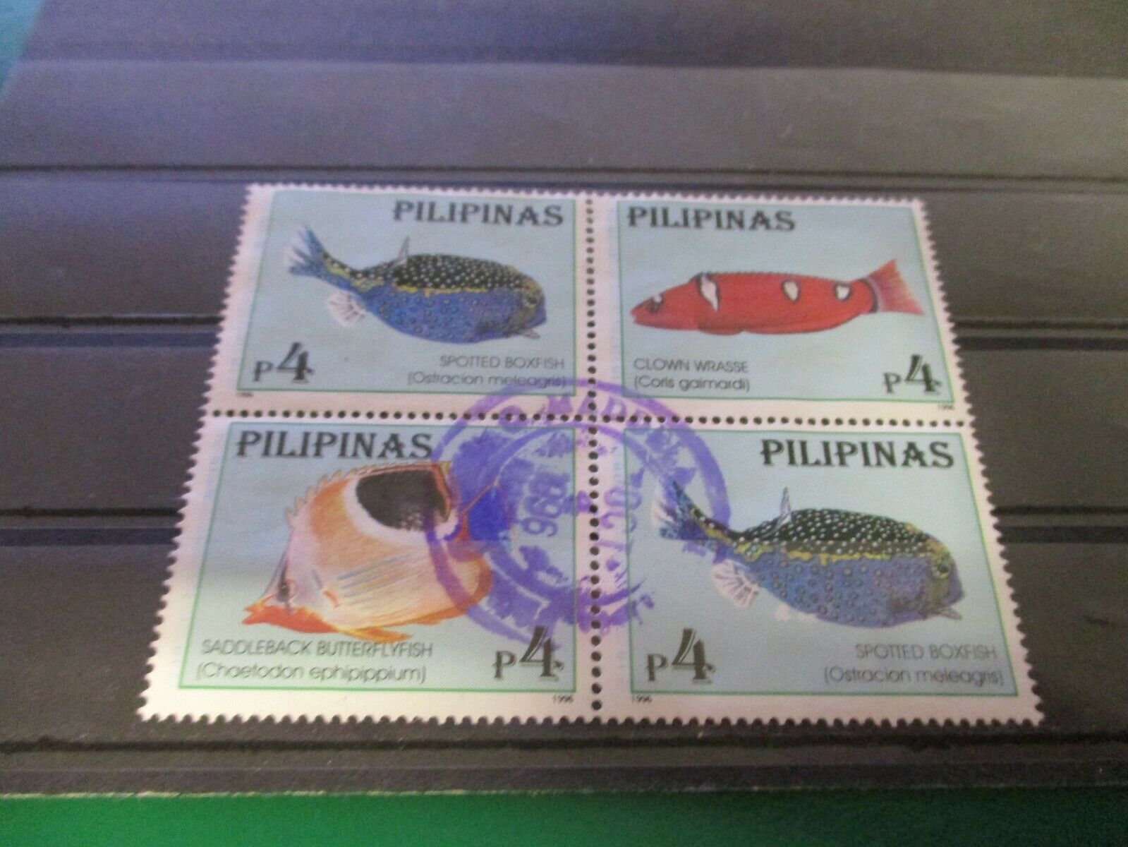 Fisch, Fische,  - Pilipinas   F31